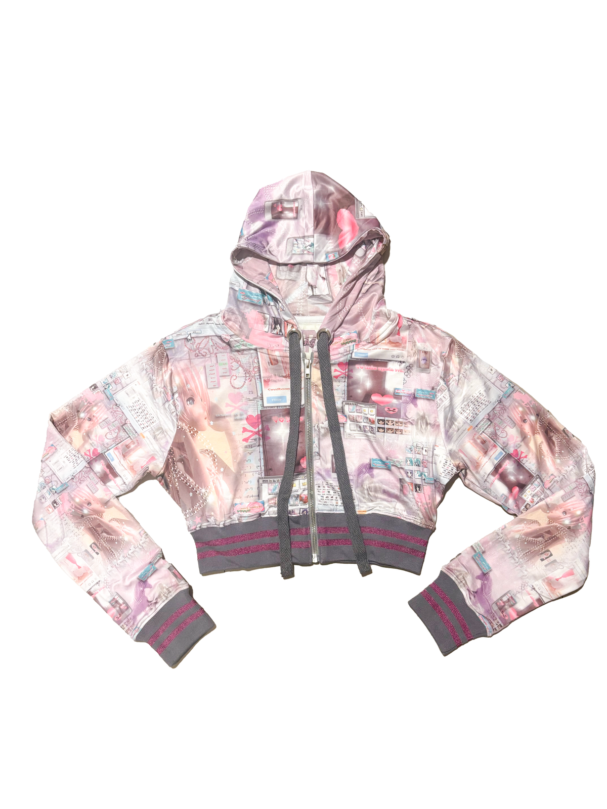 Internet Cropped Hoodie