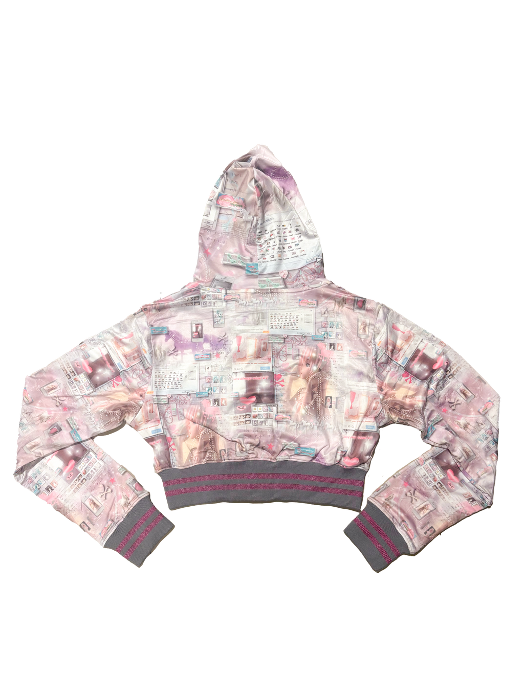 Internet Cropped Hoodie