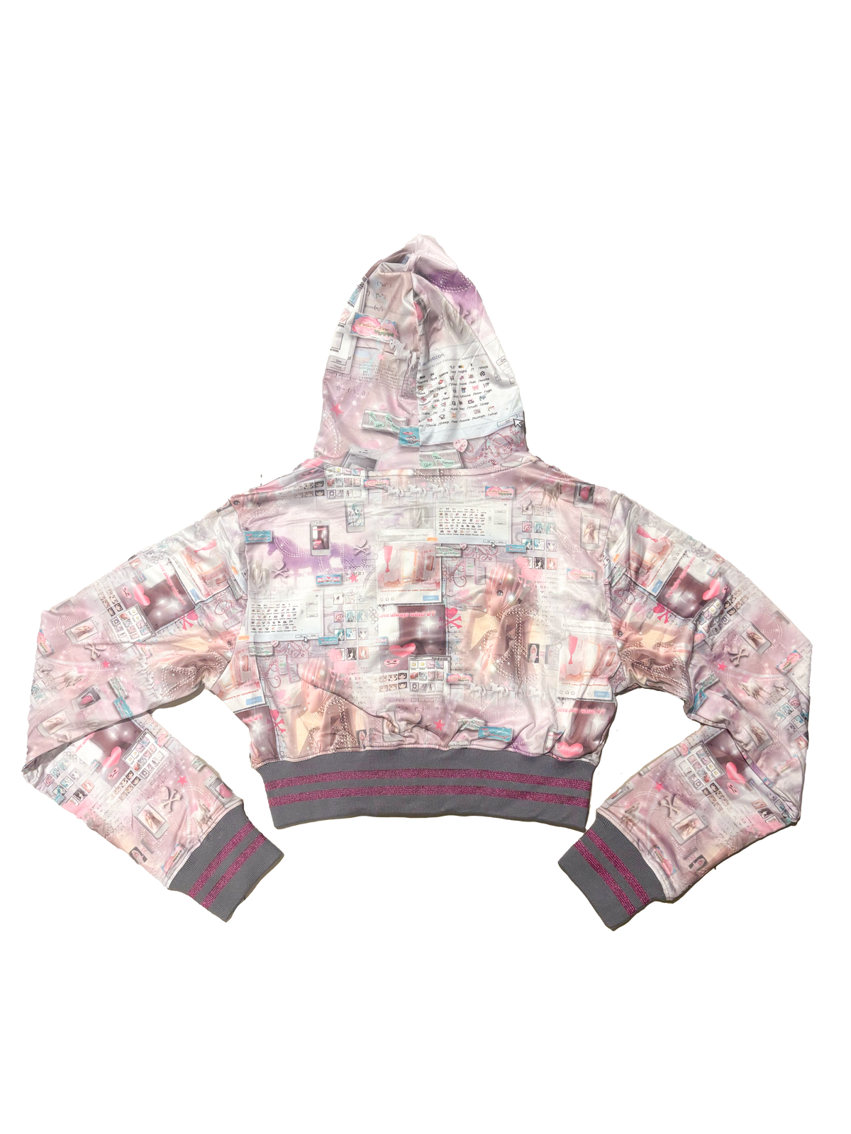 Internet Cropped Hoodie